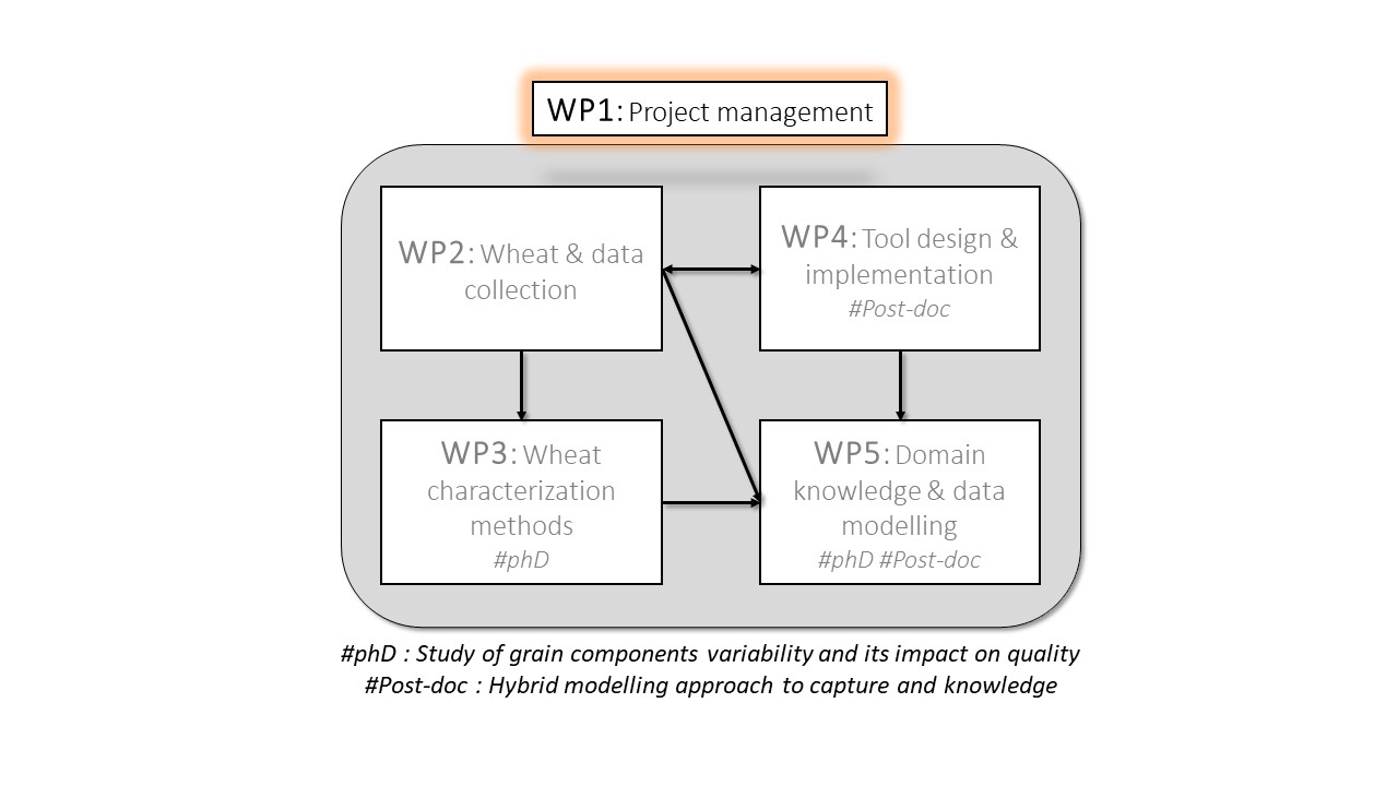 WP1