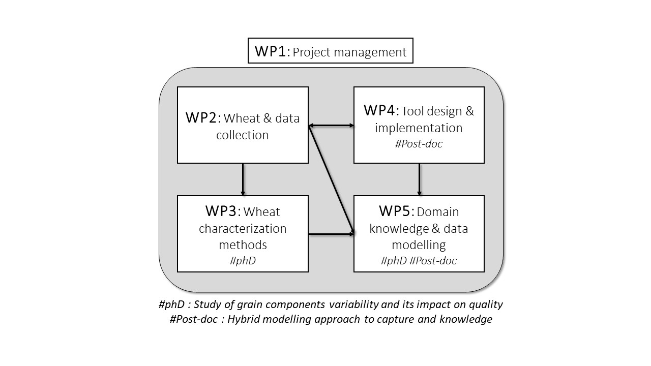 All Workpackages