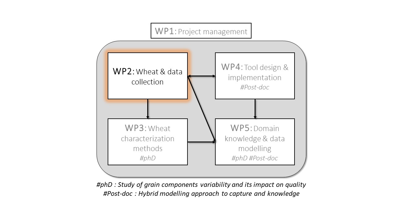 WP2